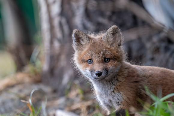 JWP_20250503_211623