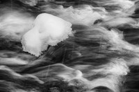 Wolsky_20161202_1128_DCS1988-Edit