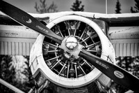 Wolsky_20170116_1129_DCS2302-Edit copy