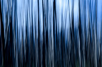 Wolsky_20130926_1632_DCS2524-2