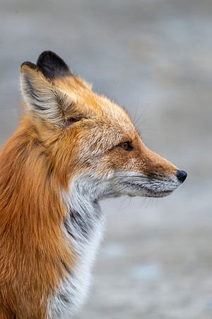 JWP_20250501_211434