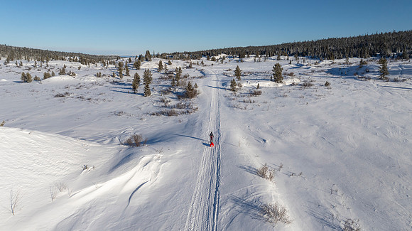 NDS_20250203_13-2