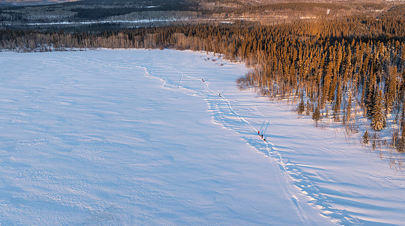 NDS_20250202_17-10