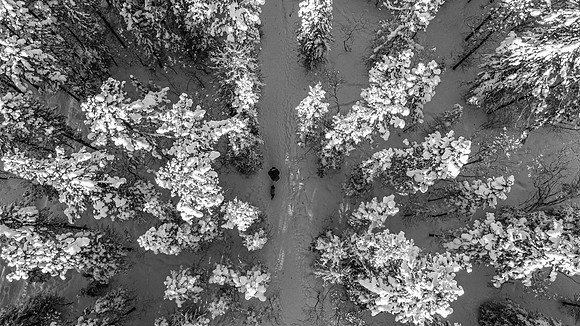 Winter walk over head drone shot