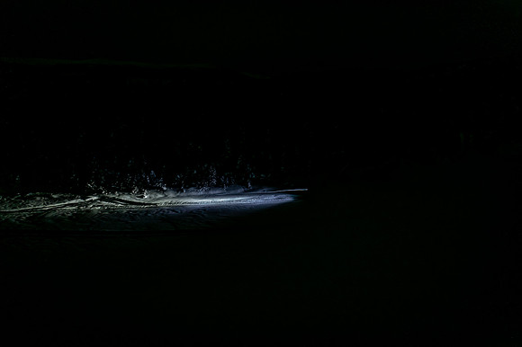 NDS_20220221_230511-Edit