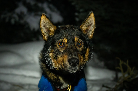 JWP_20220219_221510