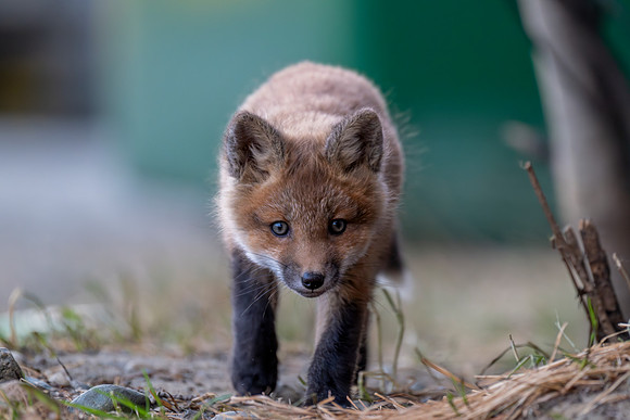 JWP_20250503_212723