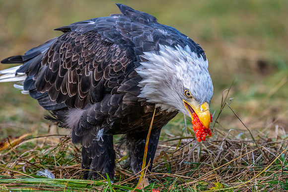 JWP_20240930_088547-Edit