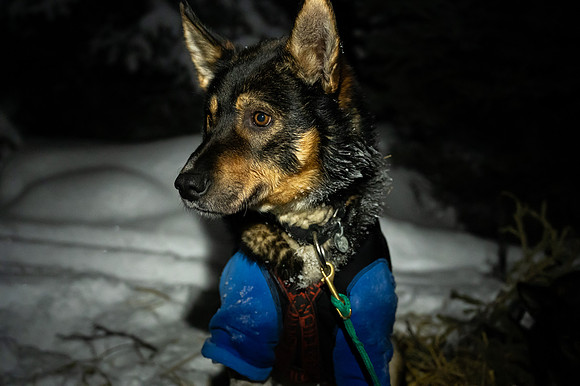 JWP_20220219_221507