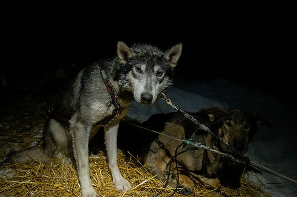 JWP_20220219_221450