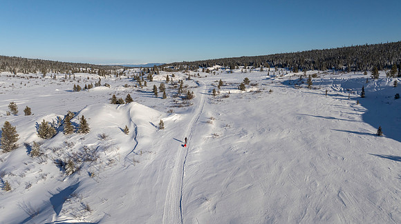 NDS_20250203_13-6